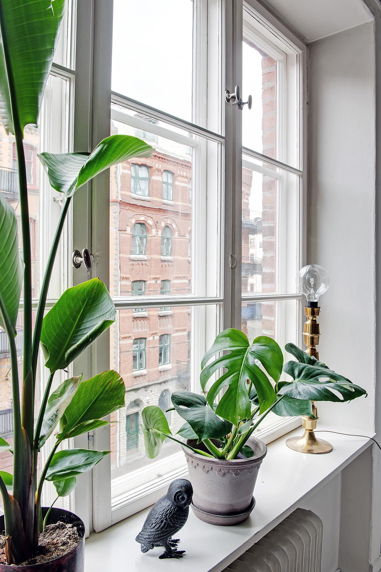 Ovanligt mycket av sekelskiftets detaljer är bevarade