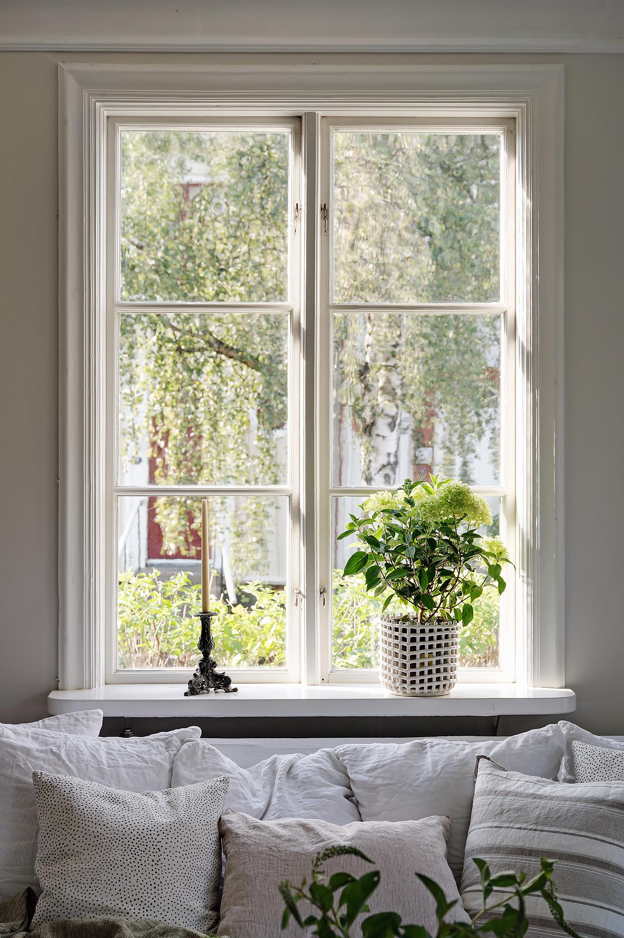 Munblåsta spröjsade fönster