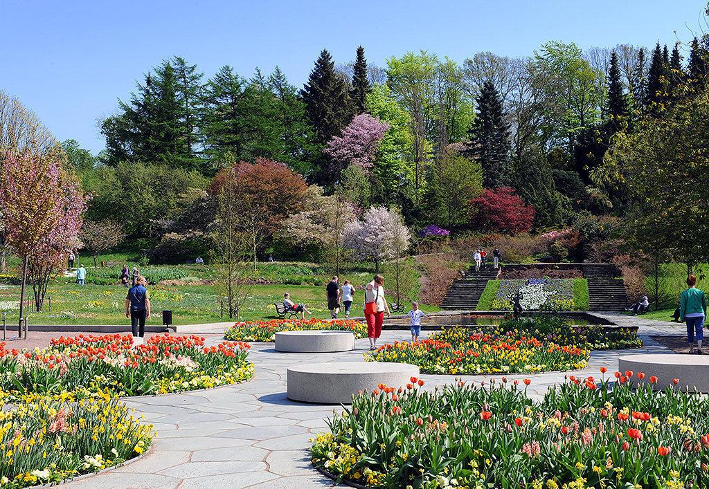 ...eller njuta av floran i Botaniska trädgården