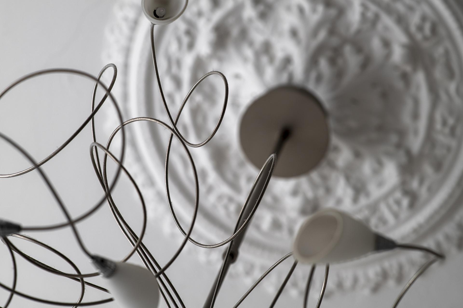 Vila ögonen på takrosetten under morgonkaffet..