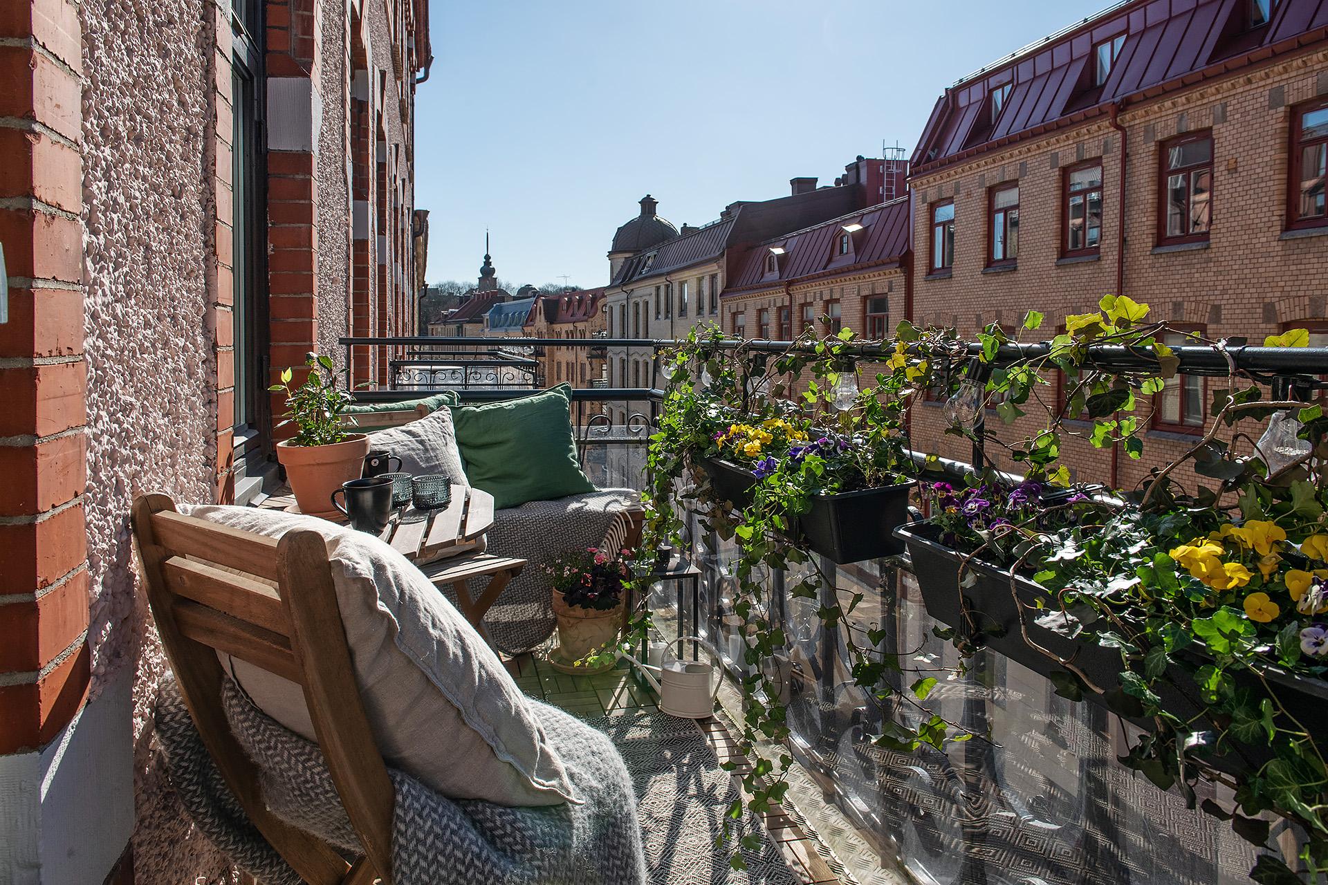 Bar himmel, sol hela dagen - kung av Linné!