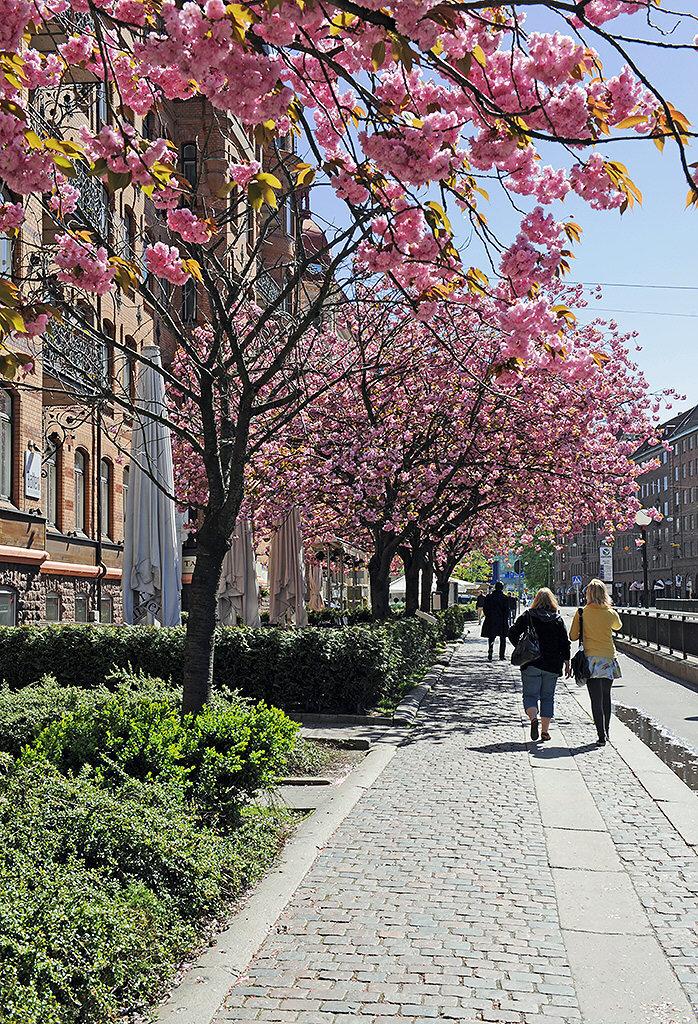 Njut på någon av Lorensbergs många uteserveringar