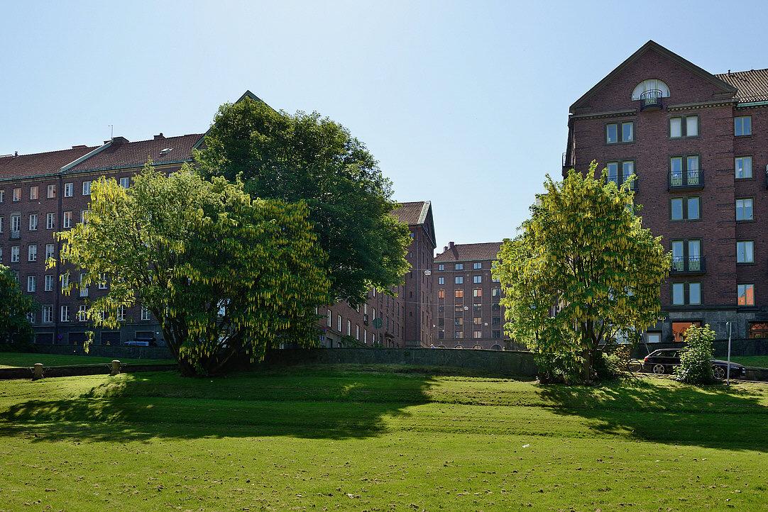 Välkommen till anrika Nedre Johanneberg