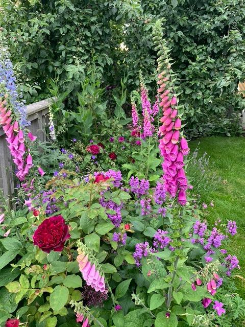 Säljarbild - trädgård