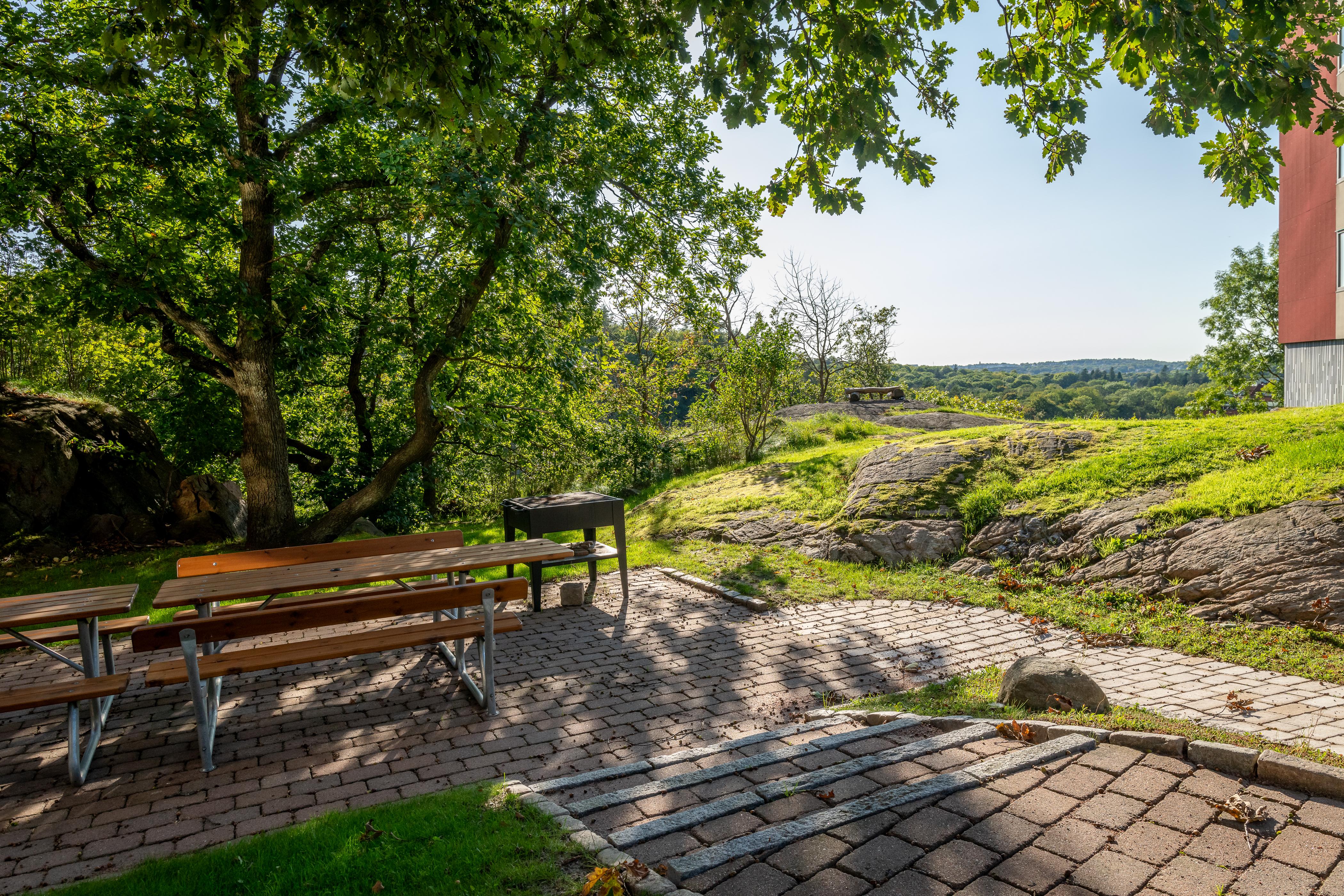 Härliga grönytor alldeles utanför huset