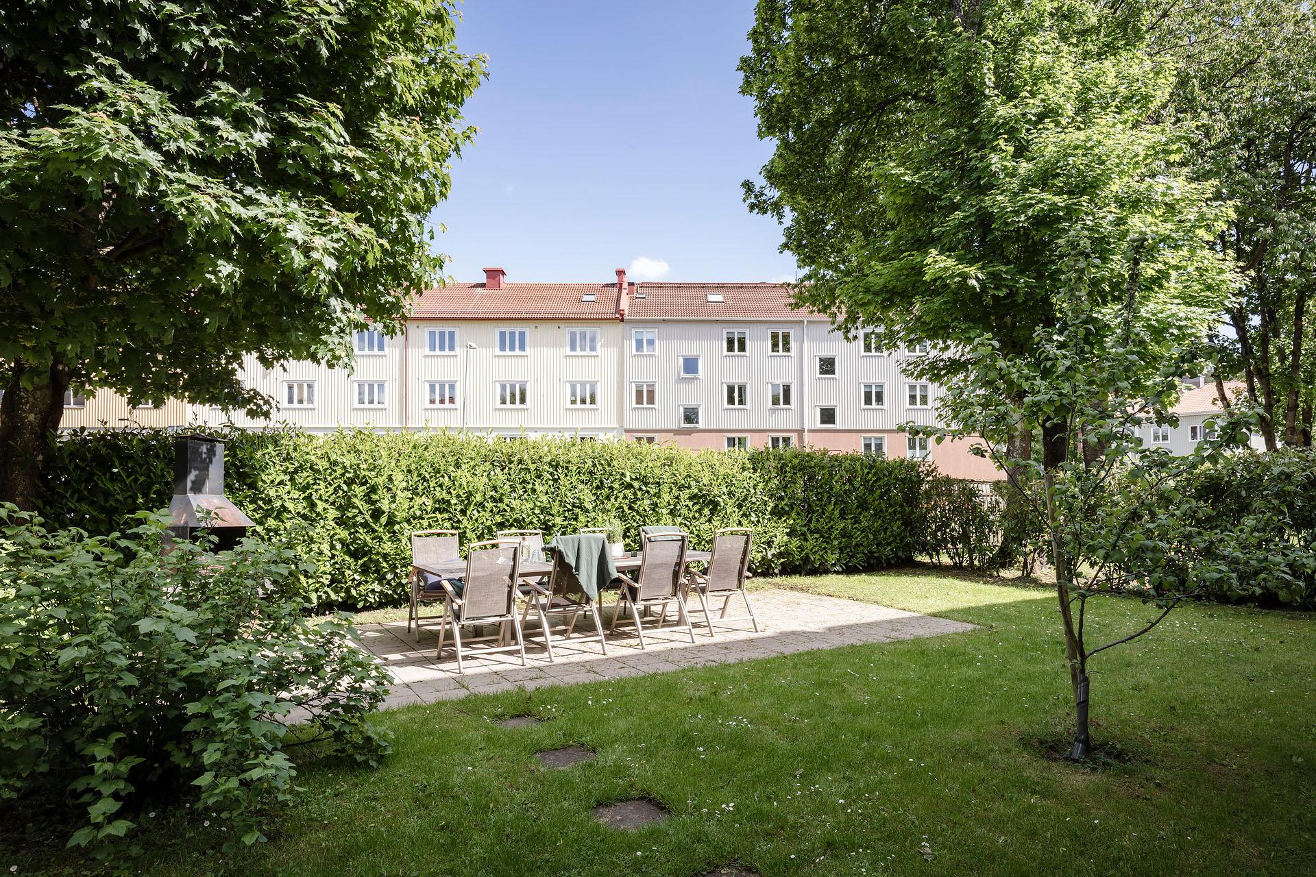 Föreningens egna gård på husets baksida