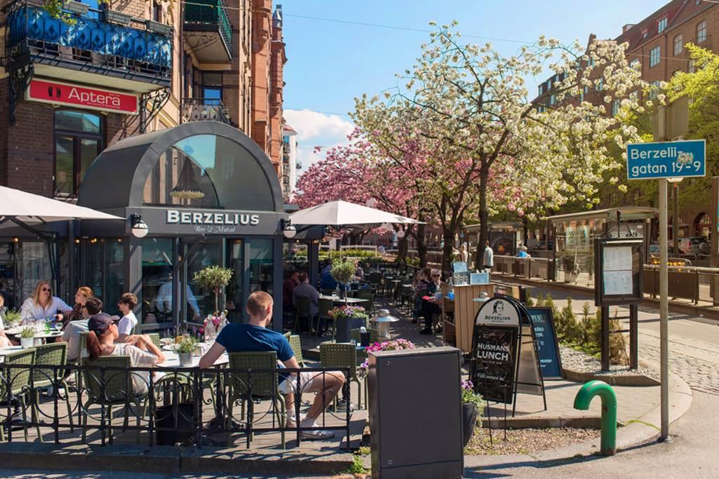 Körsbärsträdet i korsningen Berzeliigatan-Södra Vägen blommar för fullt