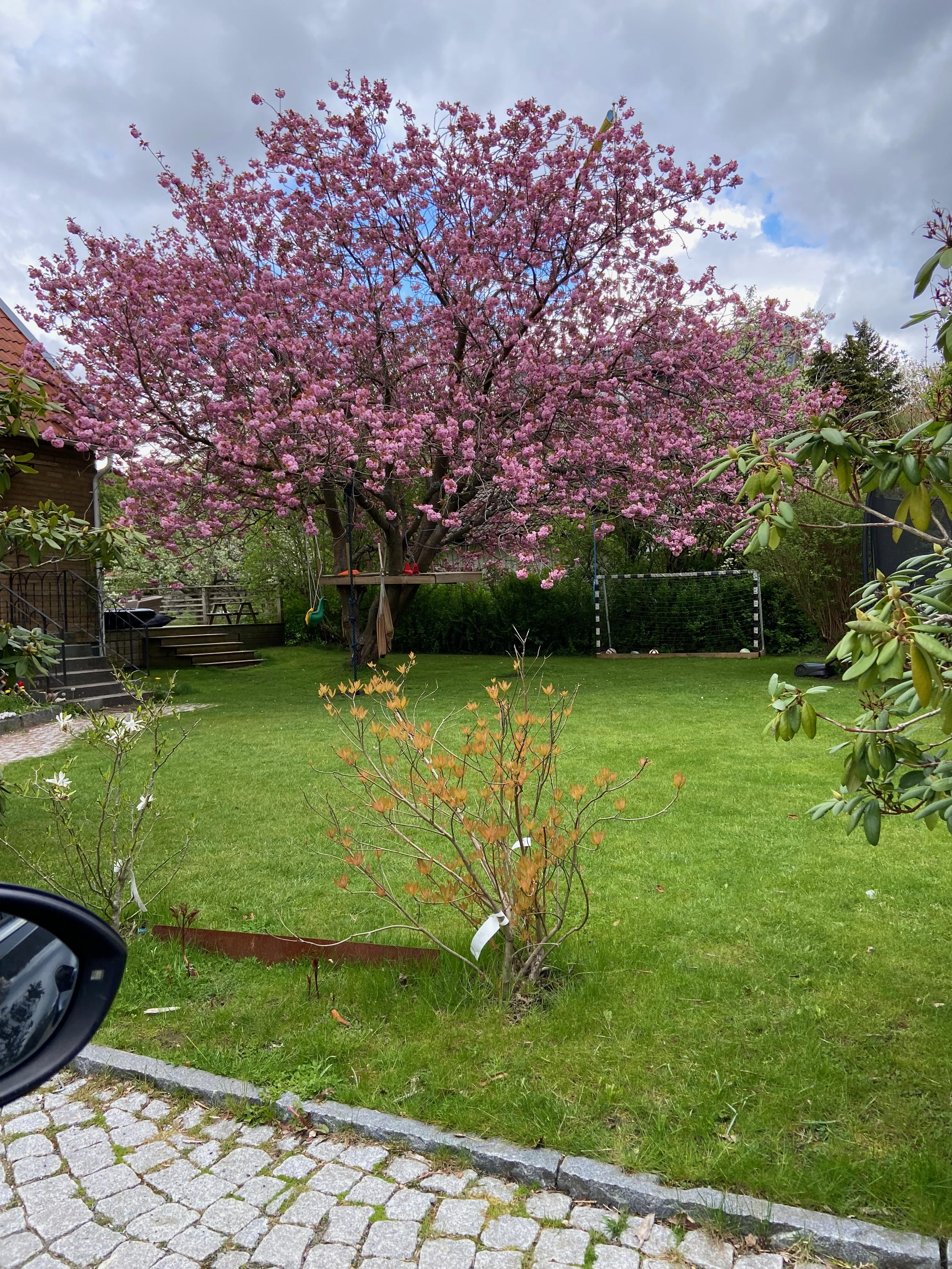 Säljarbild