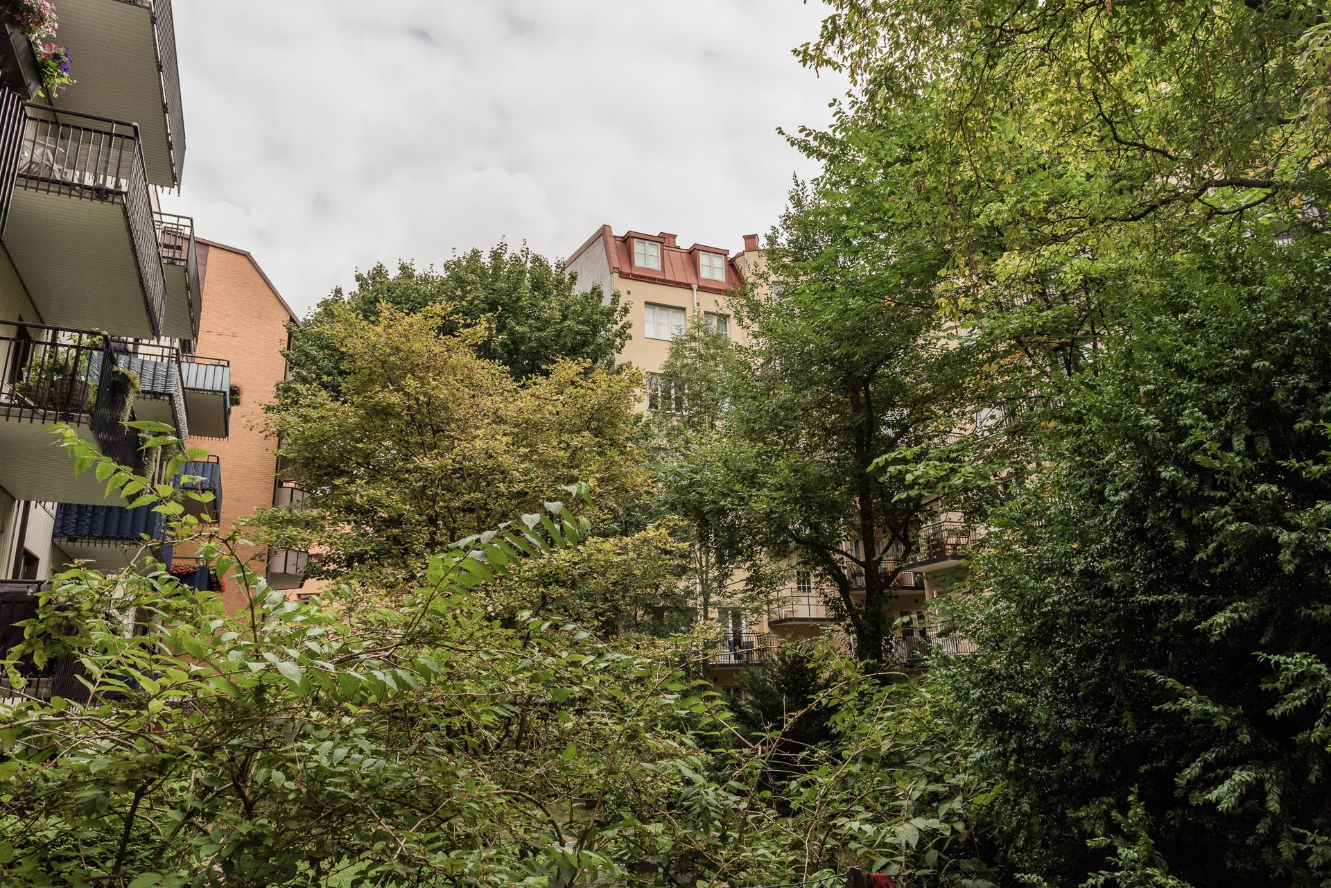 Lummig innergård med parkliknande känsla