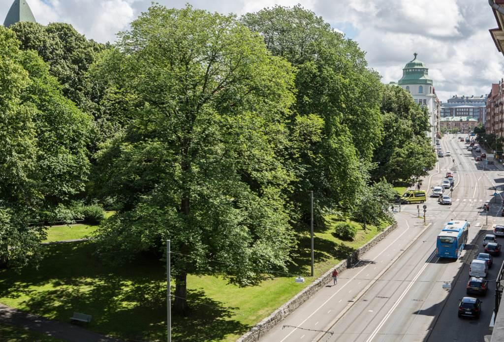 Lågupplöst Unik grönska utanför fönstren