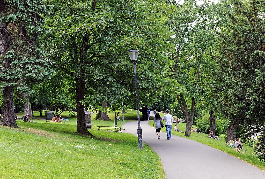 Promenera på Floras kulle på andra sidan Allén