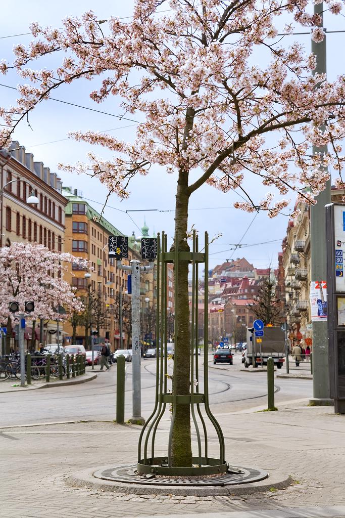 Järntorget med all kollektivtrafik nås snabbt