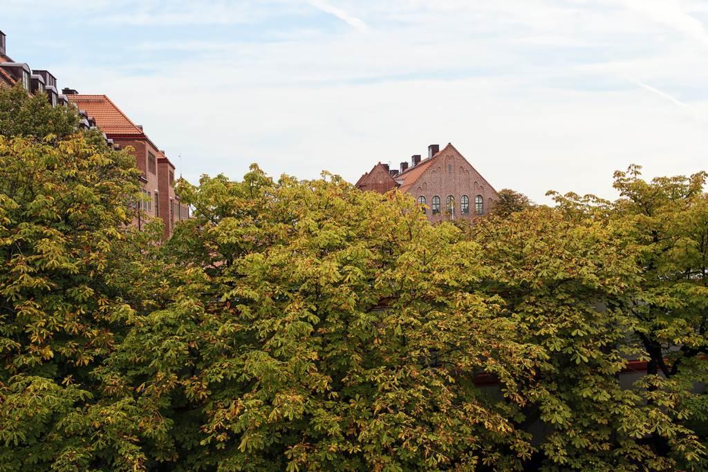 Grönare utsikt får man leta efter