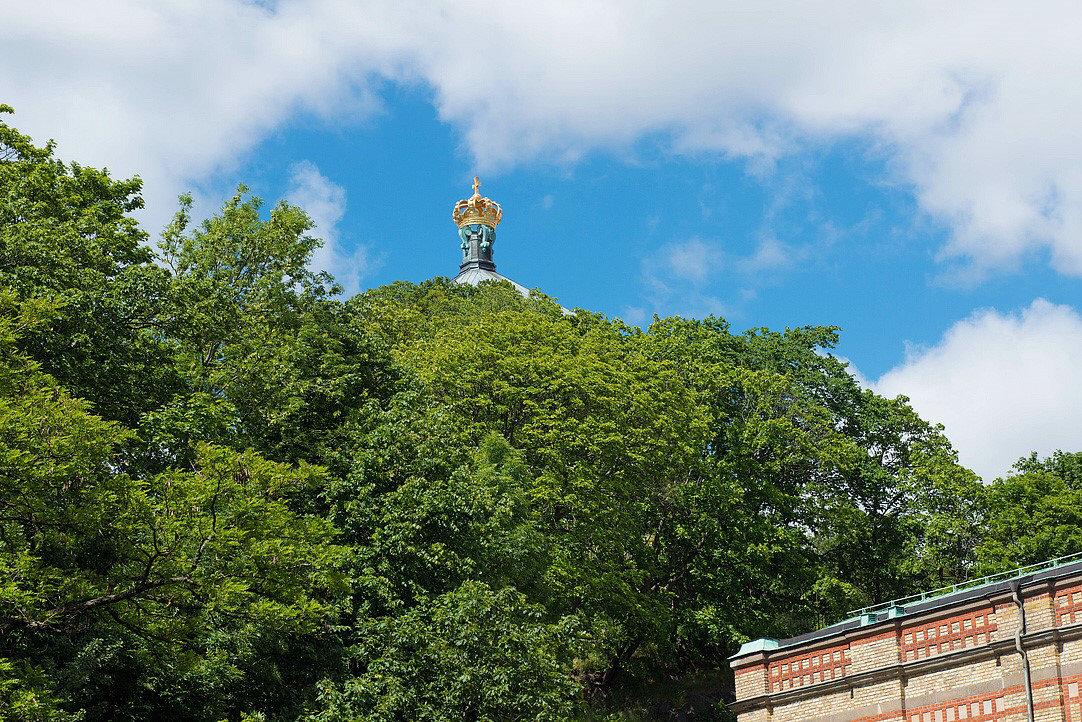 Grönskan på Skansberget är en härlig granne